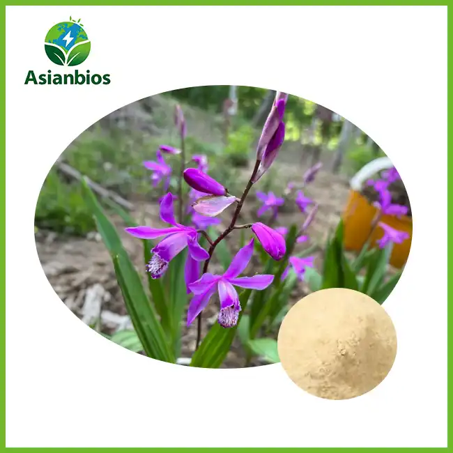 Bletilla Extract